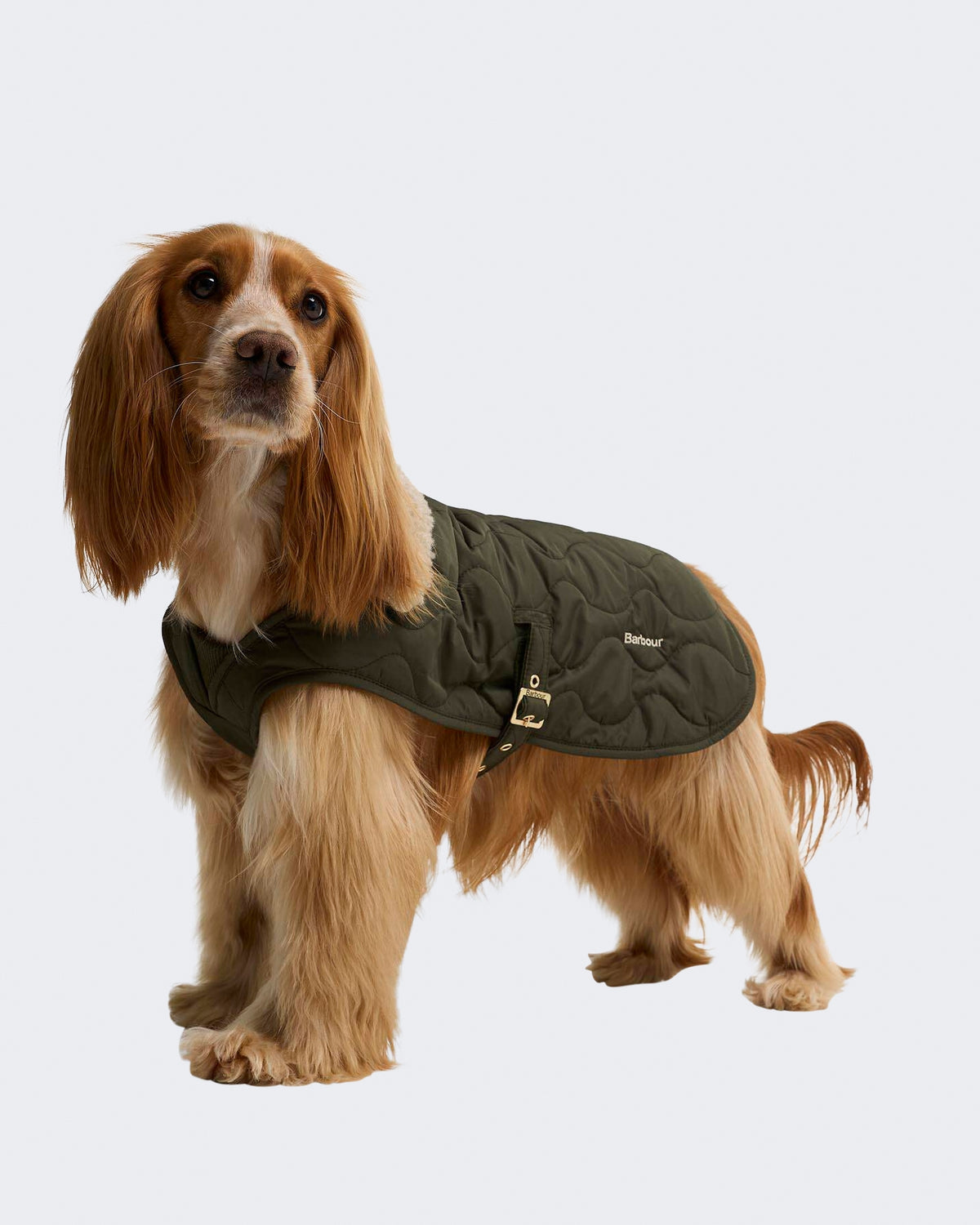 Unisex Beth Quilted Dog Coat Groen