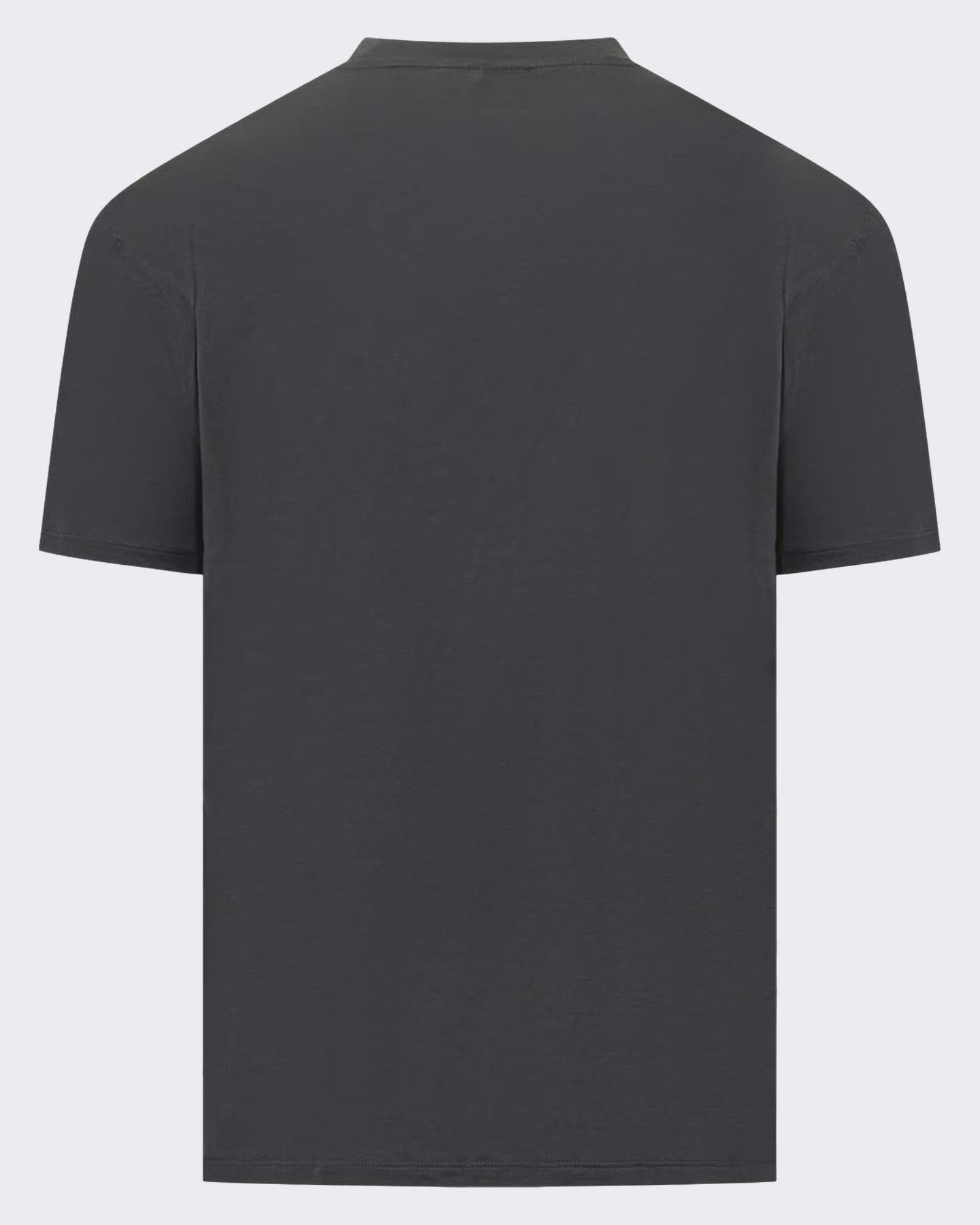 Heren Armani T-Shirt