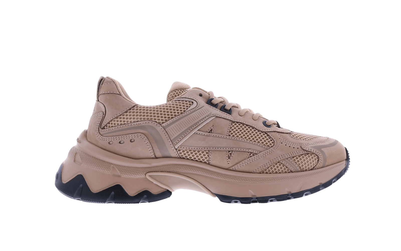 Heren Ross Nomad (M)