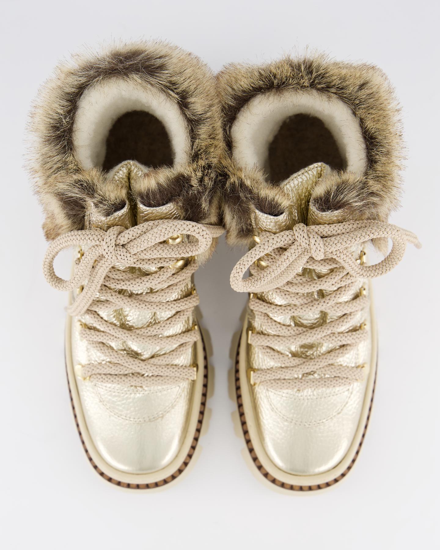 Dames Lace Booty Metallic