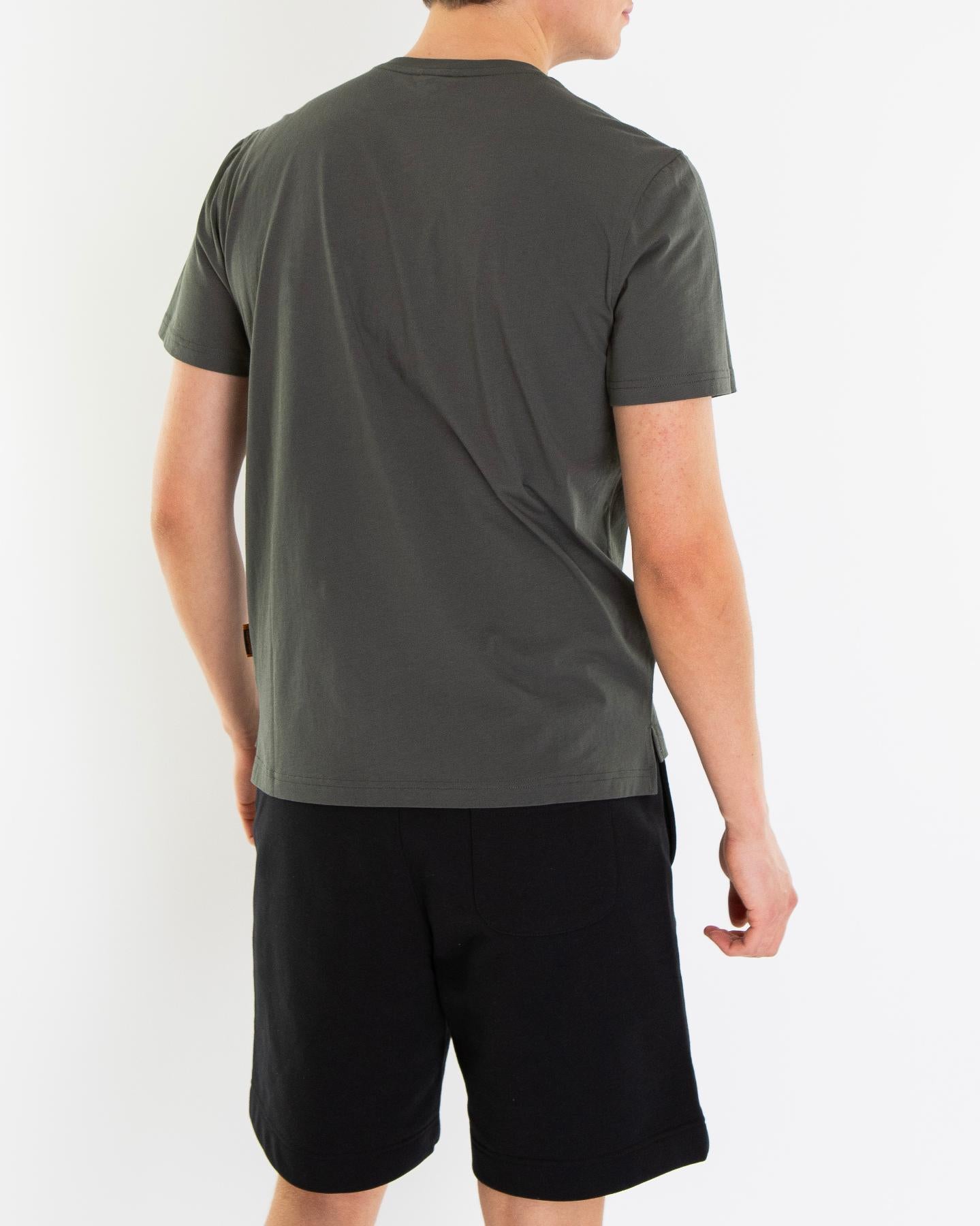 Heren Mojave T-Shirt Groen