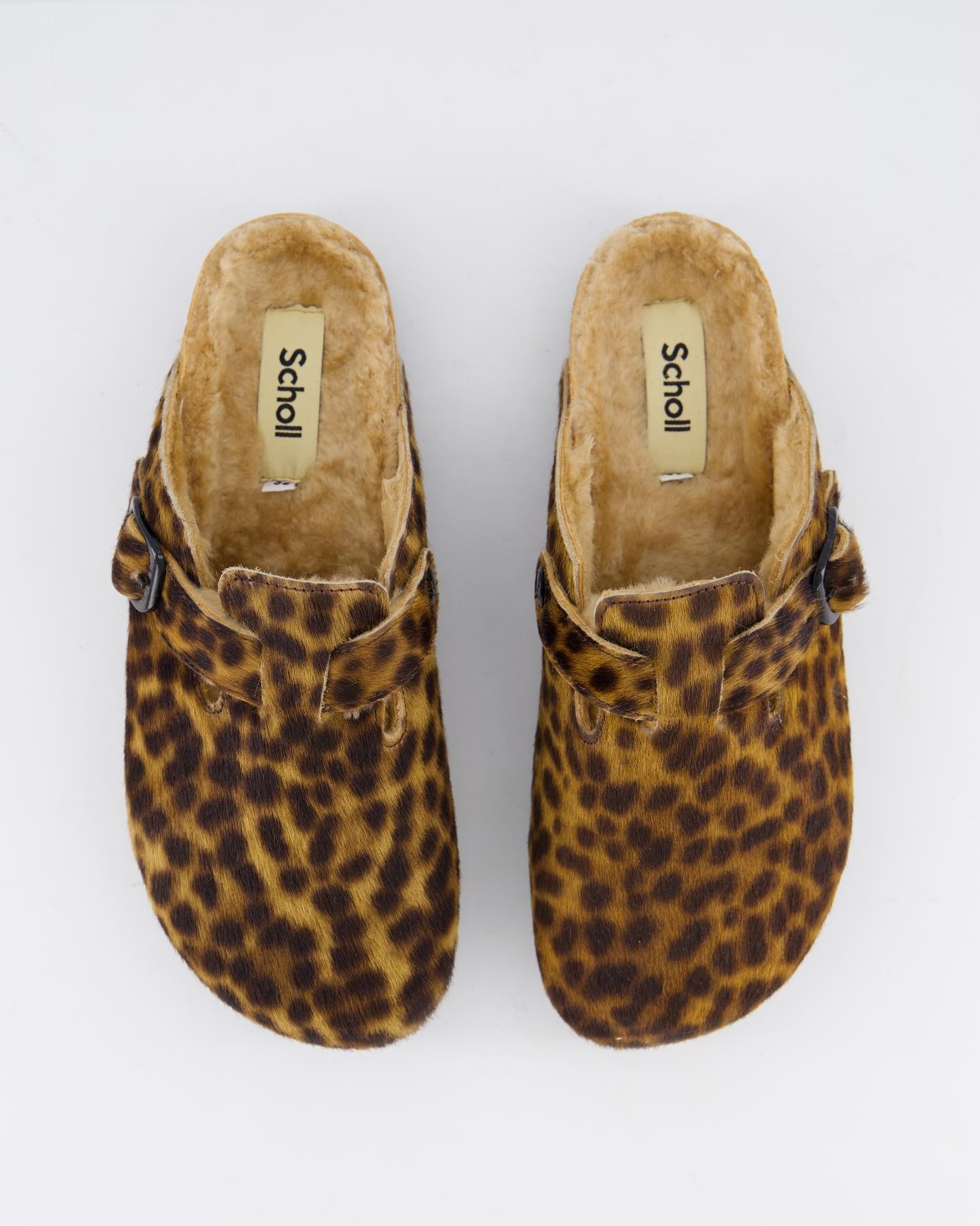 Scholl Dames Fae New F - Eleganza.nl