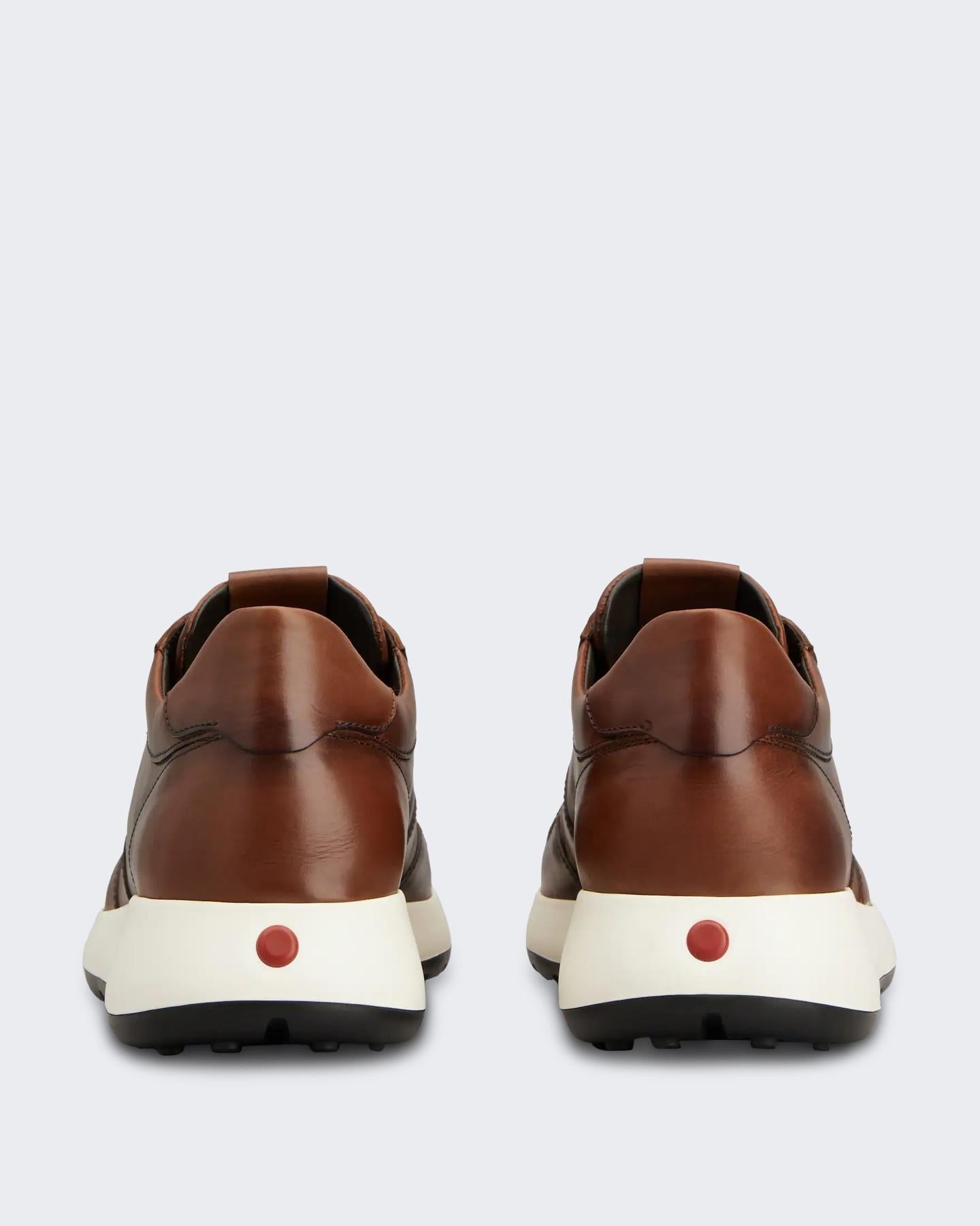 Tods Heren Sportivo 79K Sneaker Bruin - Eleganza.nl