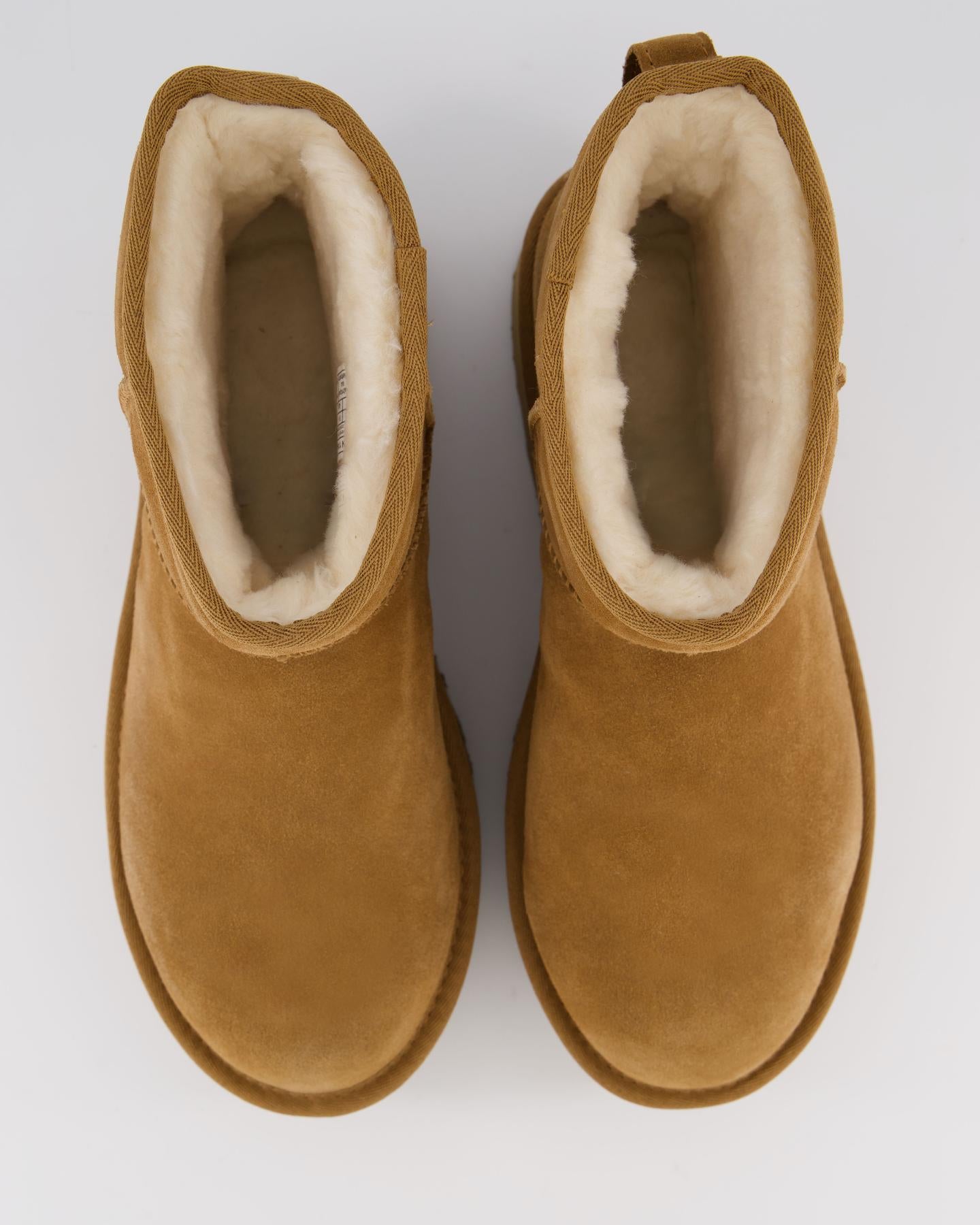 Dames Classic Mini Platform Chestnut