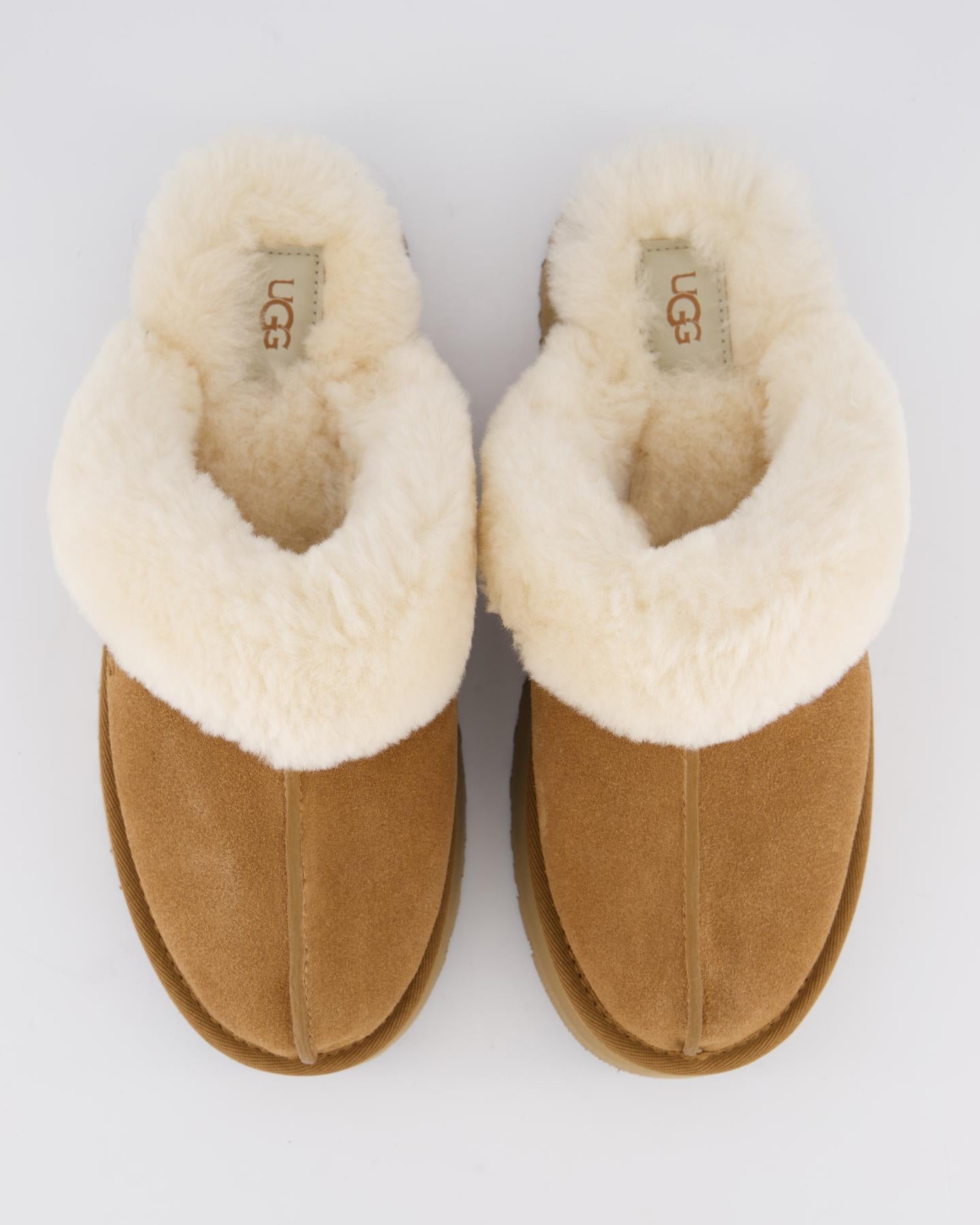 Dames Disquette Chestnut