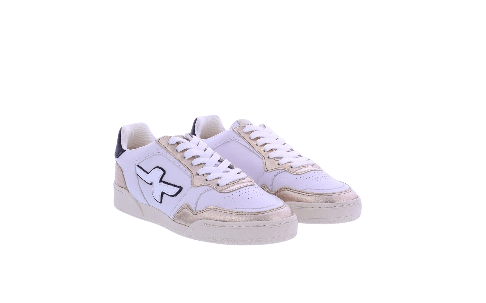 Dames Blueberry Pulse (L)
