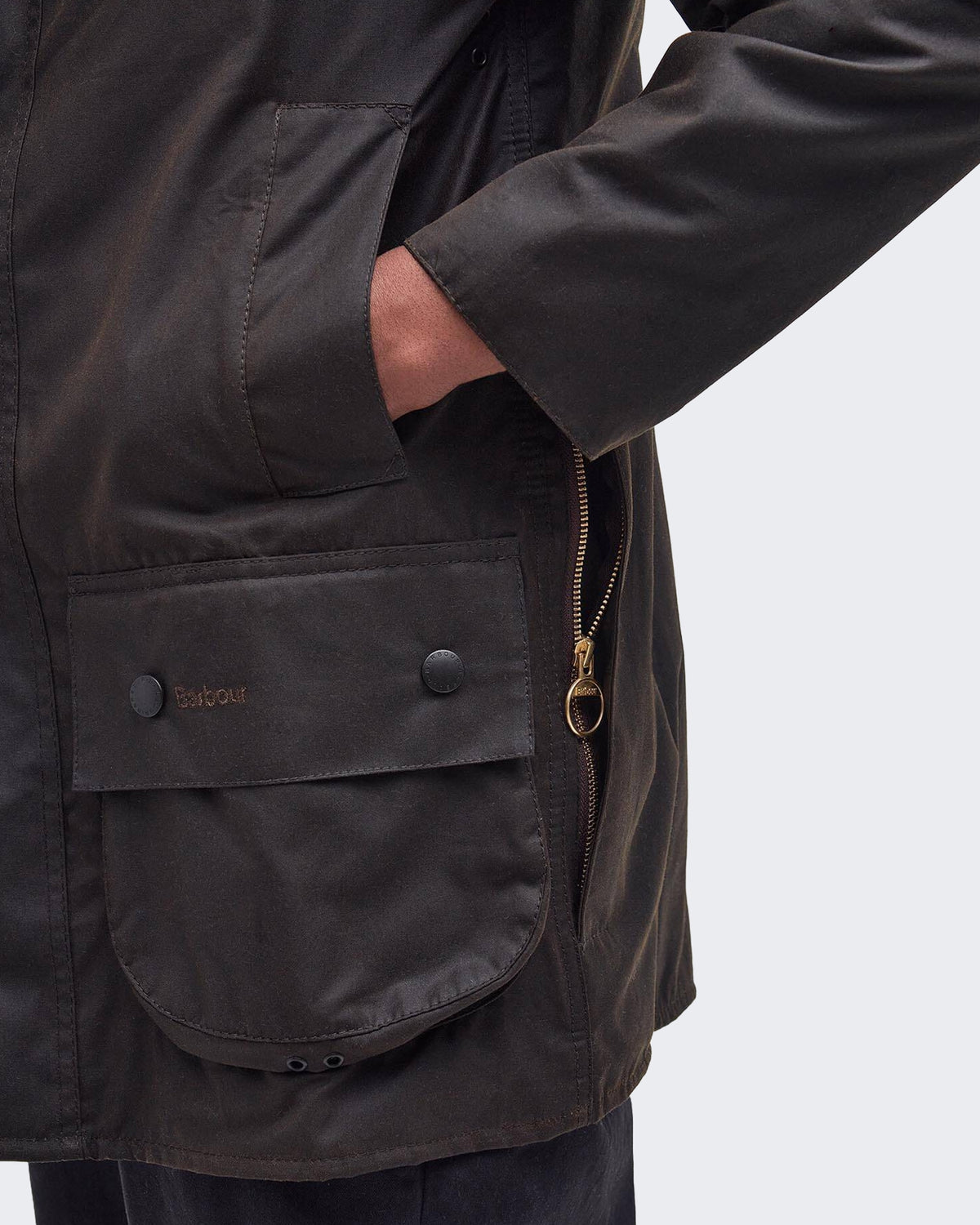Herren Classic wax Grün