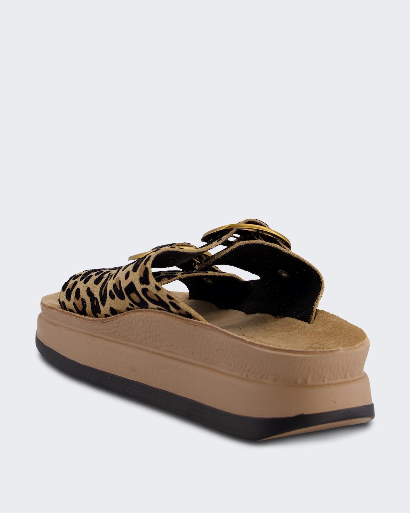 Dames Zefi