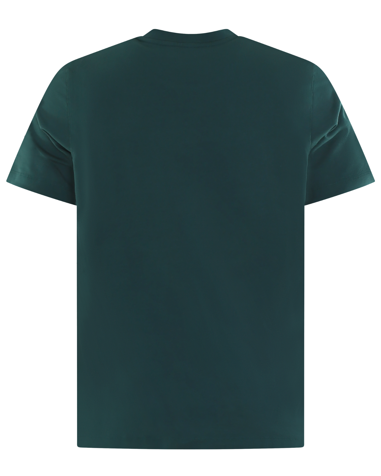 Heren Flocked and Printed Logo Groen