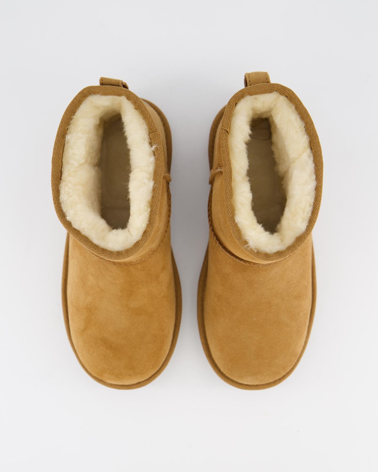 Kids Classic Mini Ii Chestnut