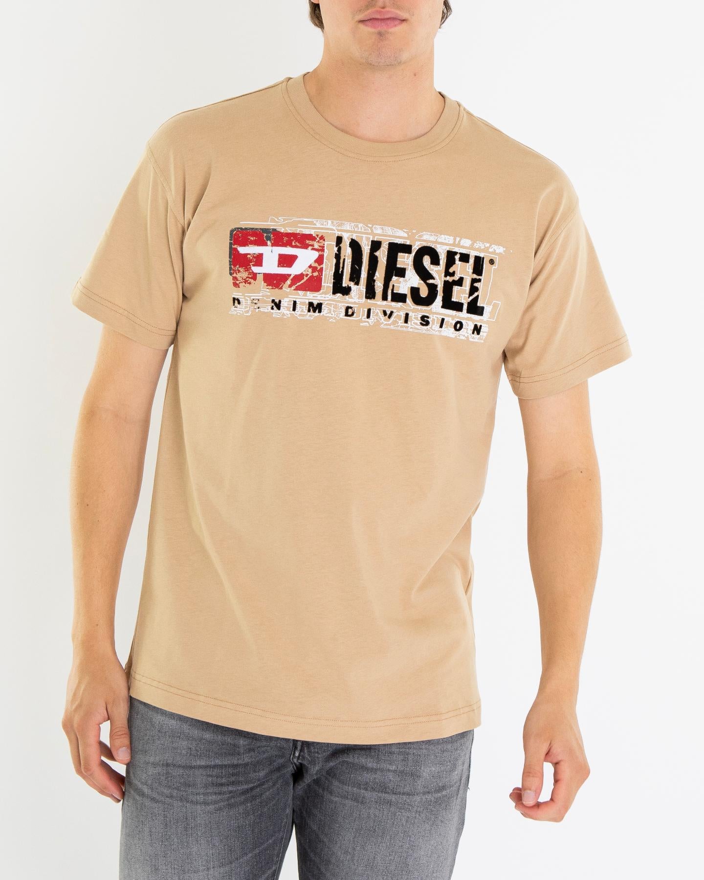 Heren T-Norm-T6 T-Shirt Beige