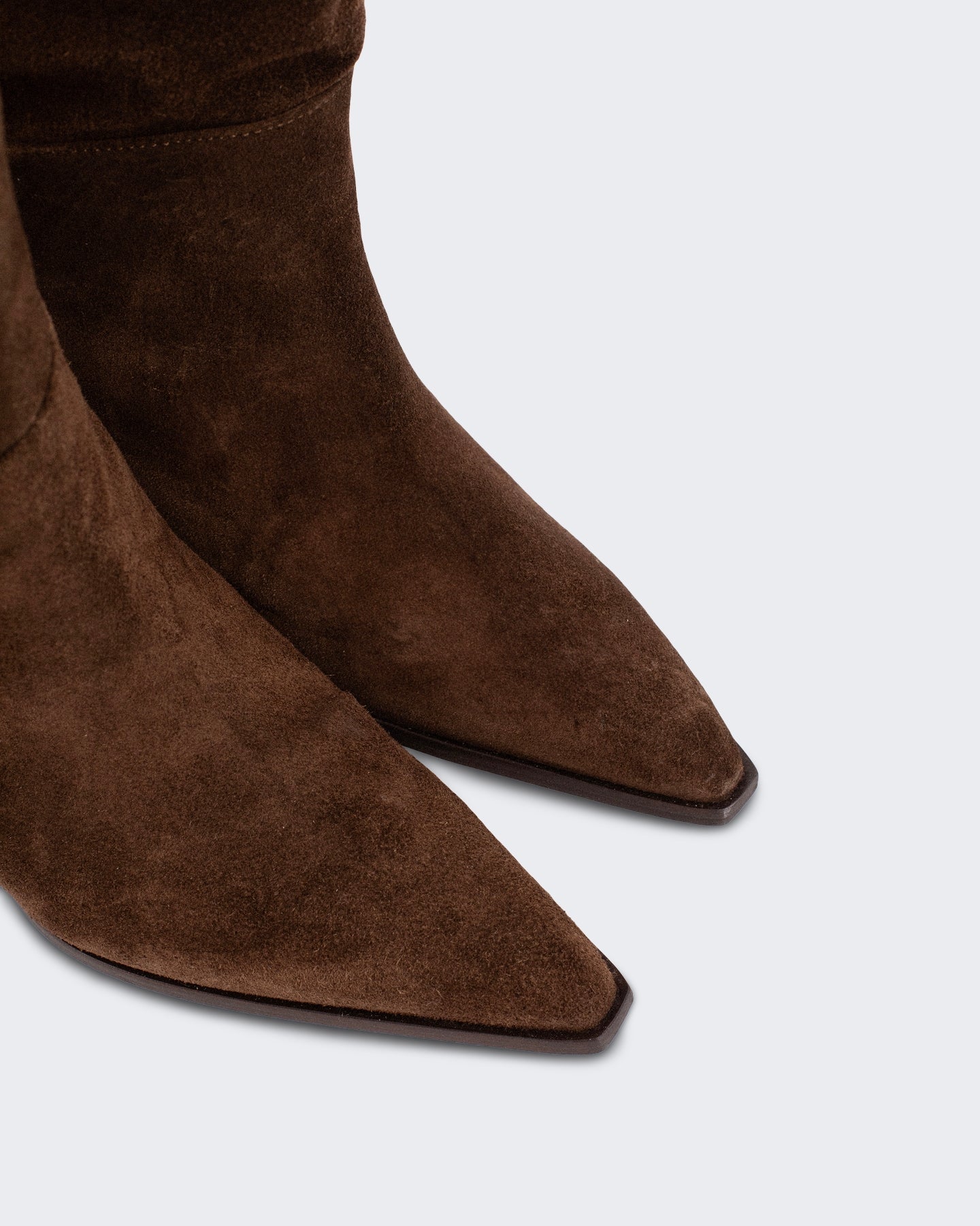 Toral Dames Dakota Laarsjes Laars basket suède Bruin - Eleganza.nl